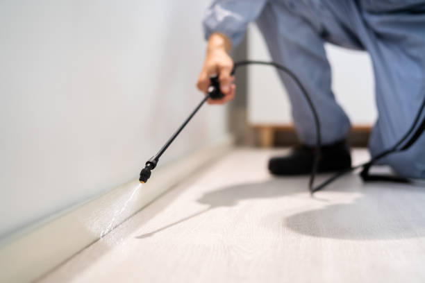 Licensed Termite Control service in Westland, MI - Nex Pest Control