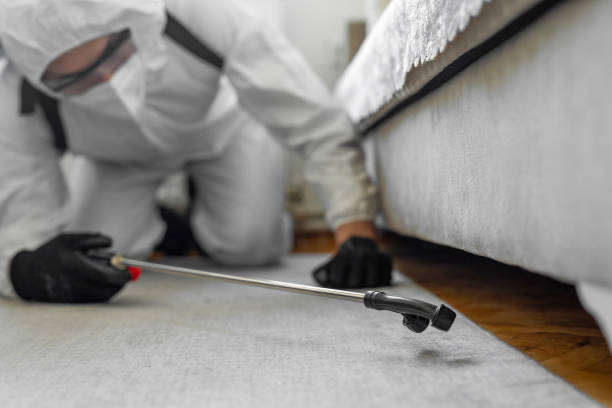 Professional Termite Control technician working in Westland, MI