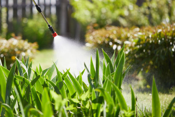 24/7 Emergency Termite Control experts in Westland, MI
