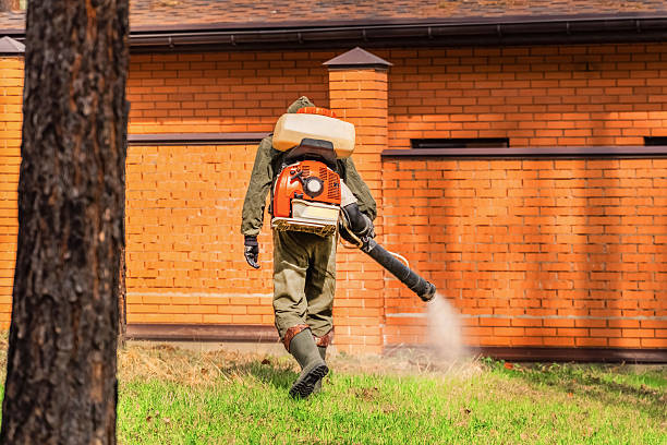 Top rated local Termite Control specialists in Westland, MI